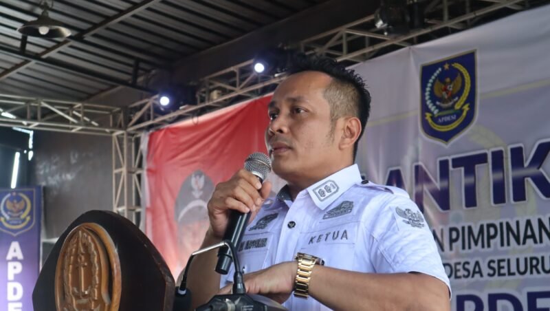 Andi Mappakaya Amier (Ketua DPC Apdesi Bone Periode 2024-2029)