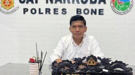 Kasat Narkoba Polres Bone Iptu Aswar SH., MH