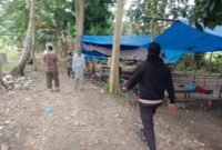 Polsek Tellu Siattingnge Razia Arena Sabung Ayam di Desa Tajong