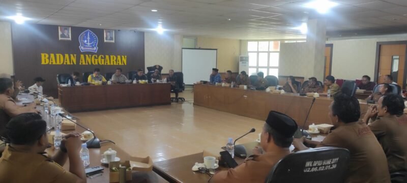 Apdesi Bone saat Audiens dengan DPRD Bone