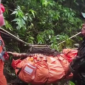 Suasana Evakuasi Korban Pesawat ATR 42-500 di Puncak Gunung Bulu Saraung, Minggu19/1/2026.