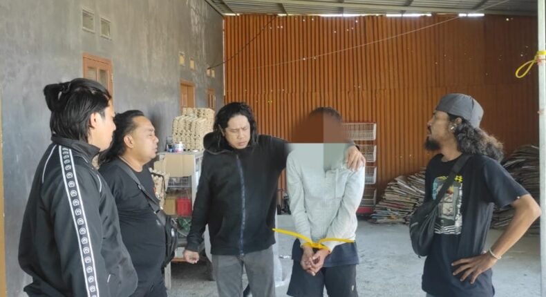 foto slider headline