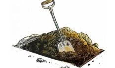 PILU! Dua Jenazah Nenek dan Cucu Harus Dipindah Makam Lagi, Lahan Diminta Pemilik Karena Masalah Sengketa
