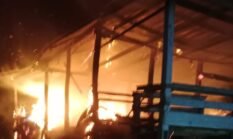 Kandang Sapi Milik Warga Cellu Bone Hangus Terbakar, Kerugian Capai Rp10 Juta