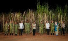 Gubernur Sulsel Hadiri Panen Raya Tebu Bersama TNI, Tegaskan Dukungan pada Program Presiden Prabowo